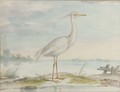 A white heron - Pieter the Younger Holsteyn