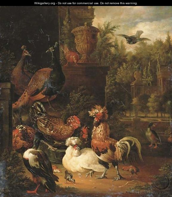 A rooster with hens, chicks, ducks, peacocks and pigeons - Pieter Van Mase
