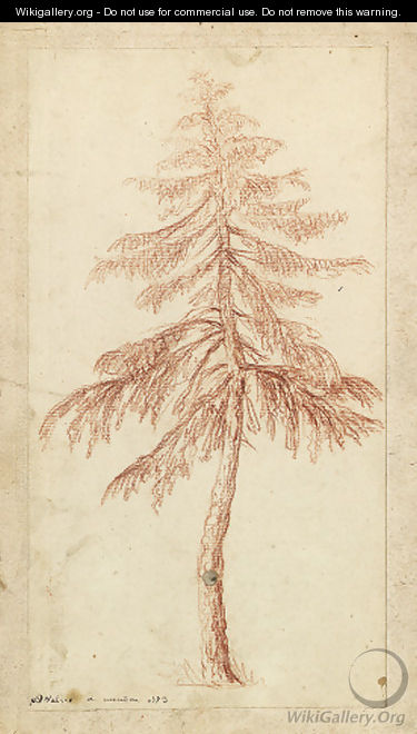 A fir tree - Pierre-Henri de Valenciennes