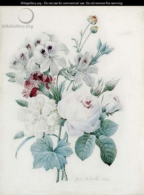 White Roses, a white Peony, a Carnation and Pelagonium - Pierre-Joseph Redouté