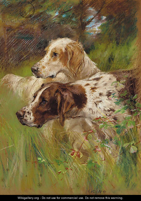 Two pointers in long grass - Thomas Blinks