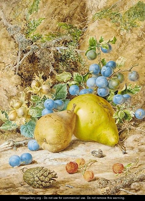 Still-life of pears, damson, beech nuts and horse chestnuts on a bank - Thomas Collier
