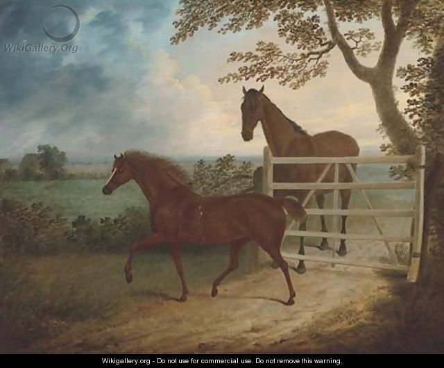 A mare and foal by a five bar gate - Thomas Fairbairn