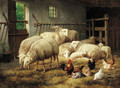 A stable with sheep and chickens - Theo van Sluys