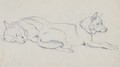 Study of huskies - Sir Edwin Henry Landseer