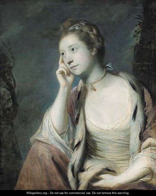 Portrait of Lady Mary Coke (1726-1811) - Sir Joshua Reynolds