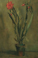 Flowering cactus in a pot - Willem Maris