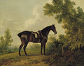 A saddled bay hunter in a wooded landscape - Sawrey Gilpin