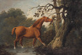 A Chestnut Horse - Sawrey Gilpin