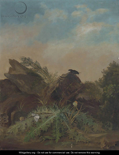 Study Of Butterflies, A Lizard, Snail And A Beetle On A Rocky Outcrop - William James Muller