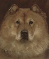 Chimmo the Chow Chow - Monica Gray