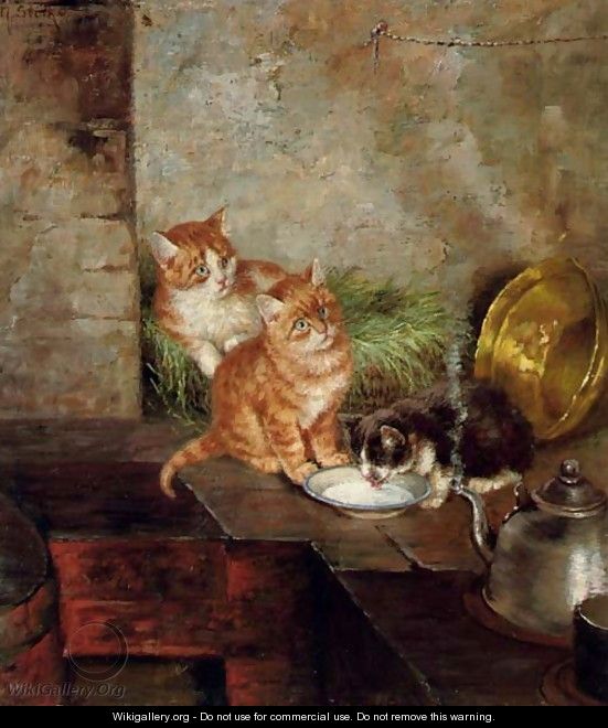 Three cats in the kitchen - Minna Stocks