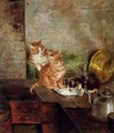 Three cats in the kitchen - Minna Stocks