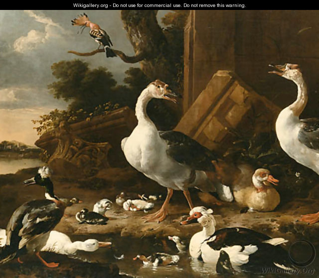 Chinese and Egyptian Geese - Melchior D