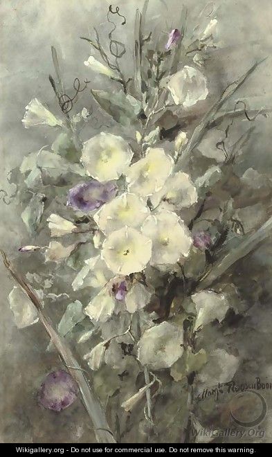 Purple and white field bindweed - Margaretha Roosenboom
