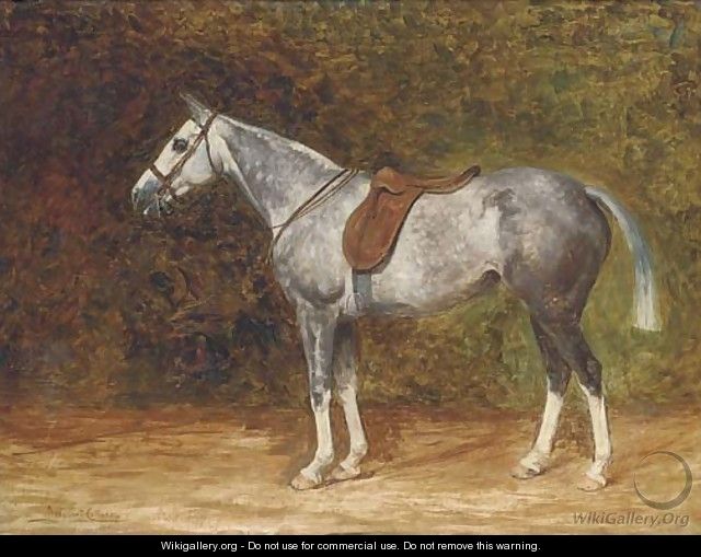 A saddled dapple grey hunter - Margaret Collyer
