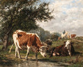 Vaches dans un prairie - Marie Dieterle