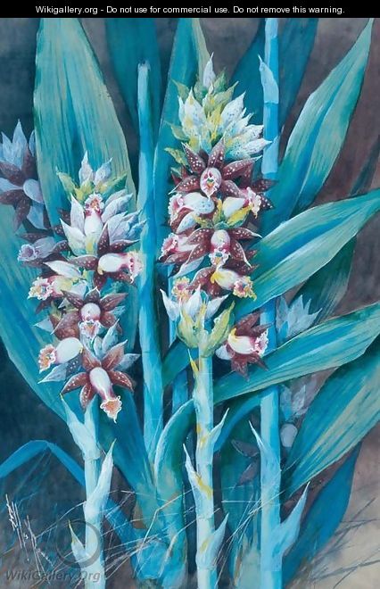 Ginger Plant - Marian Ellis Rowan