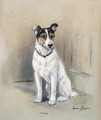 James, a Jack Russell Terrier - Marion Rodger Hamilton Harvey