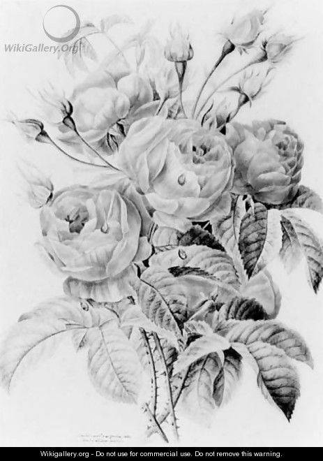 A bunch of roses - Marie-Charet De Lapiernoire