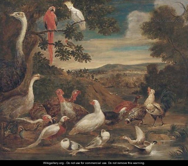 An ostrich, parrots, turkeys, woodcock, a pheasant and other birds in a landscape - (after) Melchior De Hondecoeter