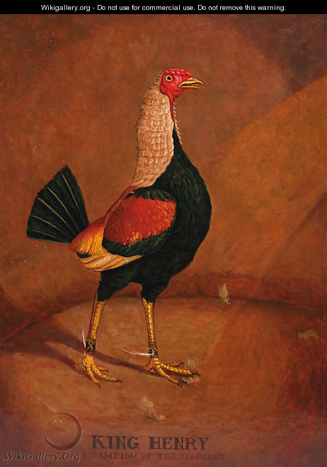 King Henry, a fighting cock - (after) Henry Alken