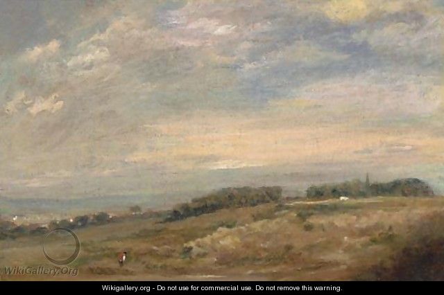 An extensive landscape with a figure in the foreground, traditionally identified as Sandpits near Dedham - (after) Constable, John