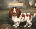 A spaniel in a landscape - George Stubbs