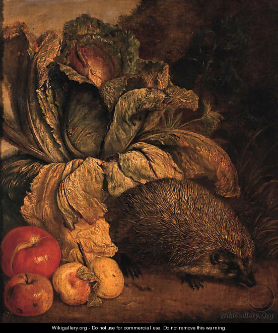 A hedgehog, a cabbage and apples at the foot of a tree - Philipp Sauerland
