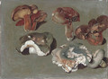 Studies of fungi the lower three are Russula cyanoxantha, 'The Charcoal Burner' - Ferdinand Phillip de Hamilton