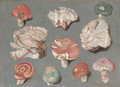 Studies of fungi, including three examples of pinkish-white Bracket fungi (possibly Rigidoperus ulmarius), and edible mushrooms Russula xerampelina - Ferdinand Phillip de Hamilton