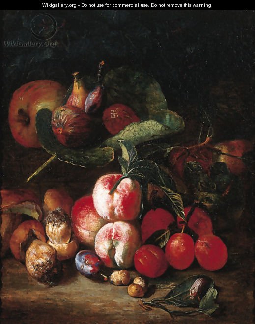 Peaches, plums, medlar, figs on a vine, an apple, mushrooms and a beetle on a forest floor - Pieter Snyers