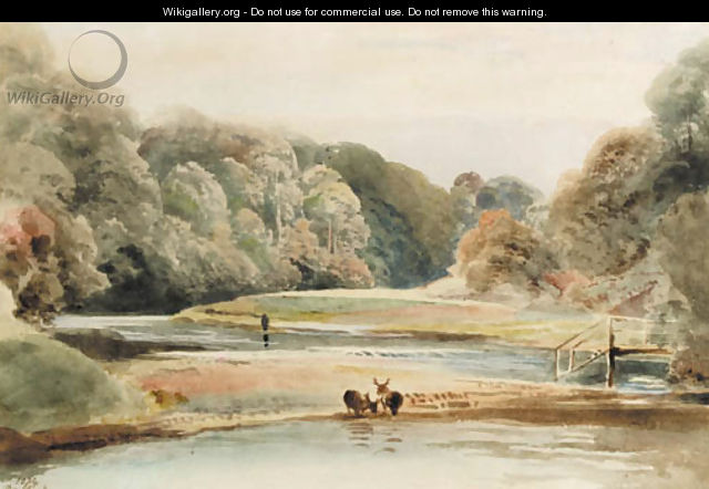 River landscape with deer drinking at the water