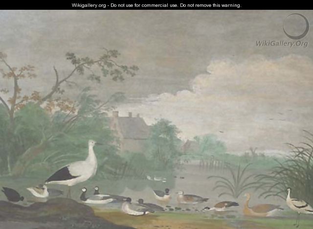 Geese, ducks and other birds on a pond with houses in the distance - Pieter Withoos