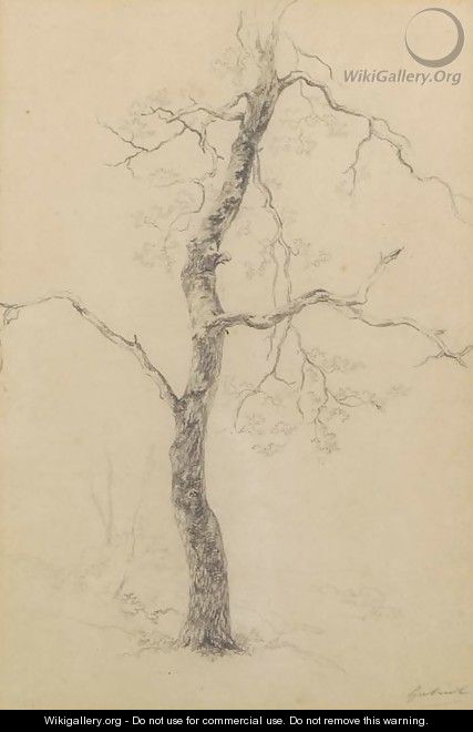 A study of a tree - Paul Joseph Constantine Gabriel