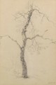 A study of a tree - Paul Joseph Constantine Gabriel