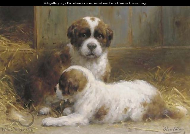 Sweet pups - Otto Eerelman