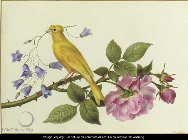 A canary perched on a the branch of a pink rose, carrying harebells in its beak - Pancrace Bessa