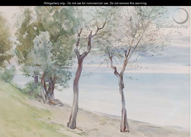 Trees on the coast at Baveno - Onorato Carlandi