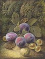 Still life of plums and gooseberries on a mossy bank - Oliver Clare