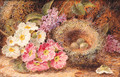 Primroses, Primulas, a Bird's Nest with Eggs, on a mossy Bank - Oliver Clare