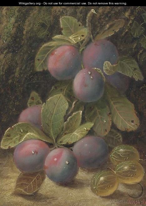 Plums and gooseberries on a mossy bank - Oliver Clare