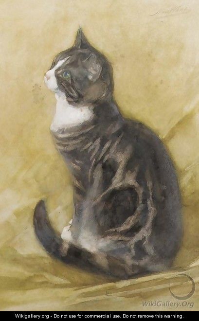Fascinated feline - Nicolaas Van Der Waay