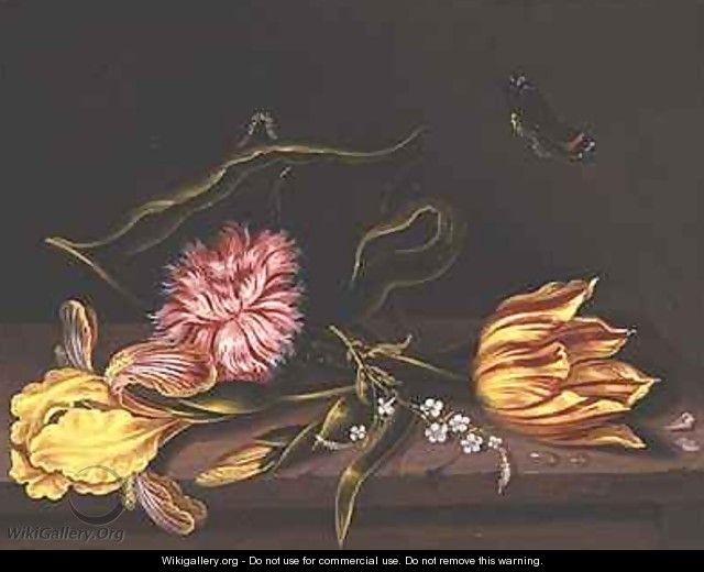 Still Life of Flowers on a Table - Abraham Bosschaert