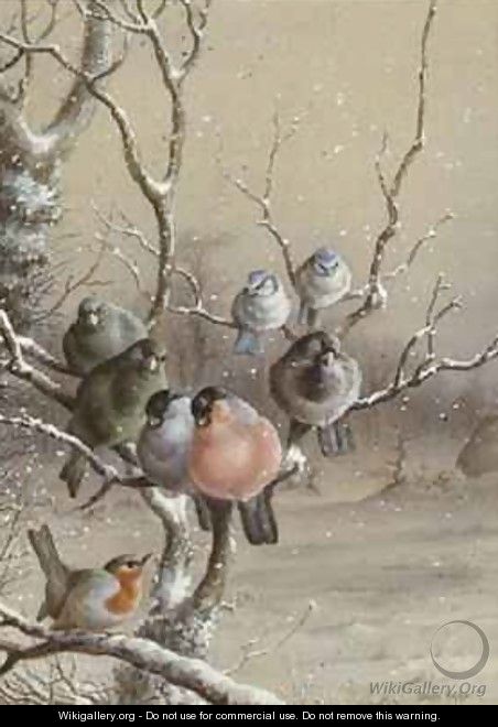 Birds on a Snowy Branch - Harry Bright