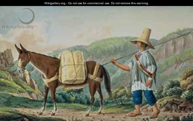 Conveyance of the Mail in Colombia - Joseph Brown