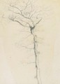 A Tree Study - Henry Farrer
