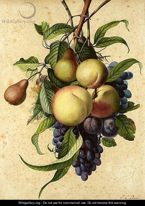 Still Life With Peaches, Pears, Plums And Grapes - Jean-Louis Prevost