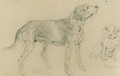 A Hunting Dog - Georg Maximilian Johann Von Dillis