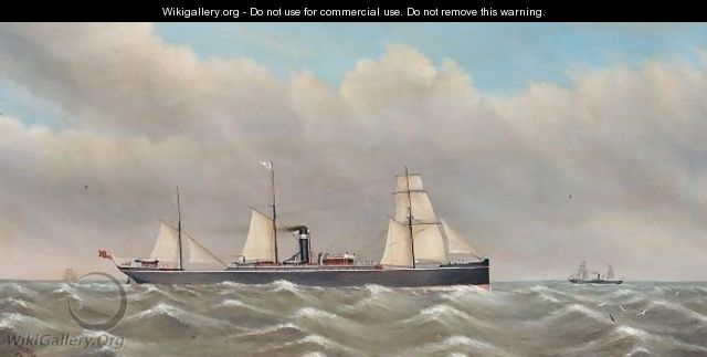 The S.S. Manora in high seas - David Dixon